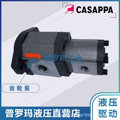 凯斯帕双联齿轮泵PLP30.43-04S5-LOG/OF/20.16-LOD/OC D/FSL油泵