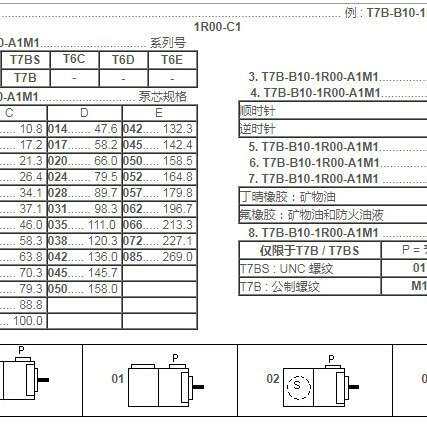 DENISON丹尼逊叶片泵T6D-035-1R01-C1 1R00 1R02 1R03 T6D-038