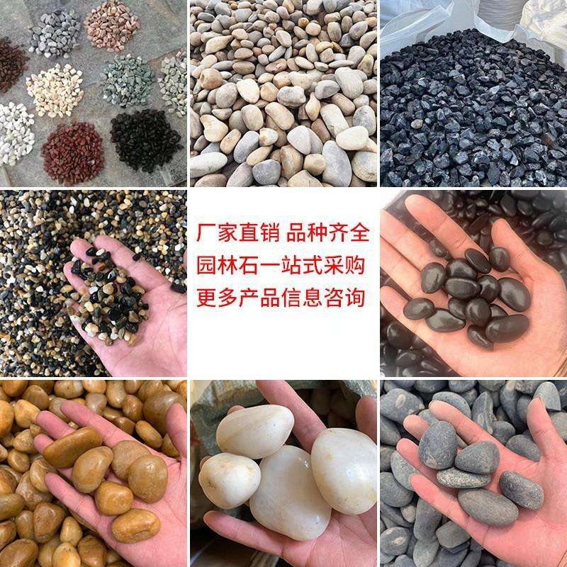 南京雨花石黄色鹅卵石抛光公园水池广场施工布景园林铺路庭院石头