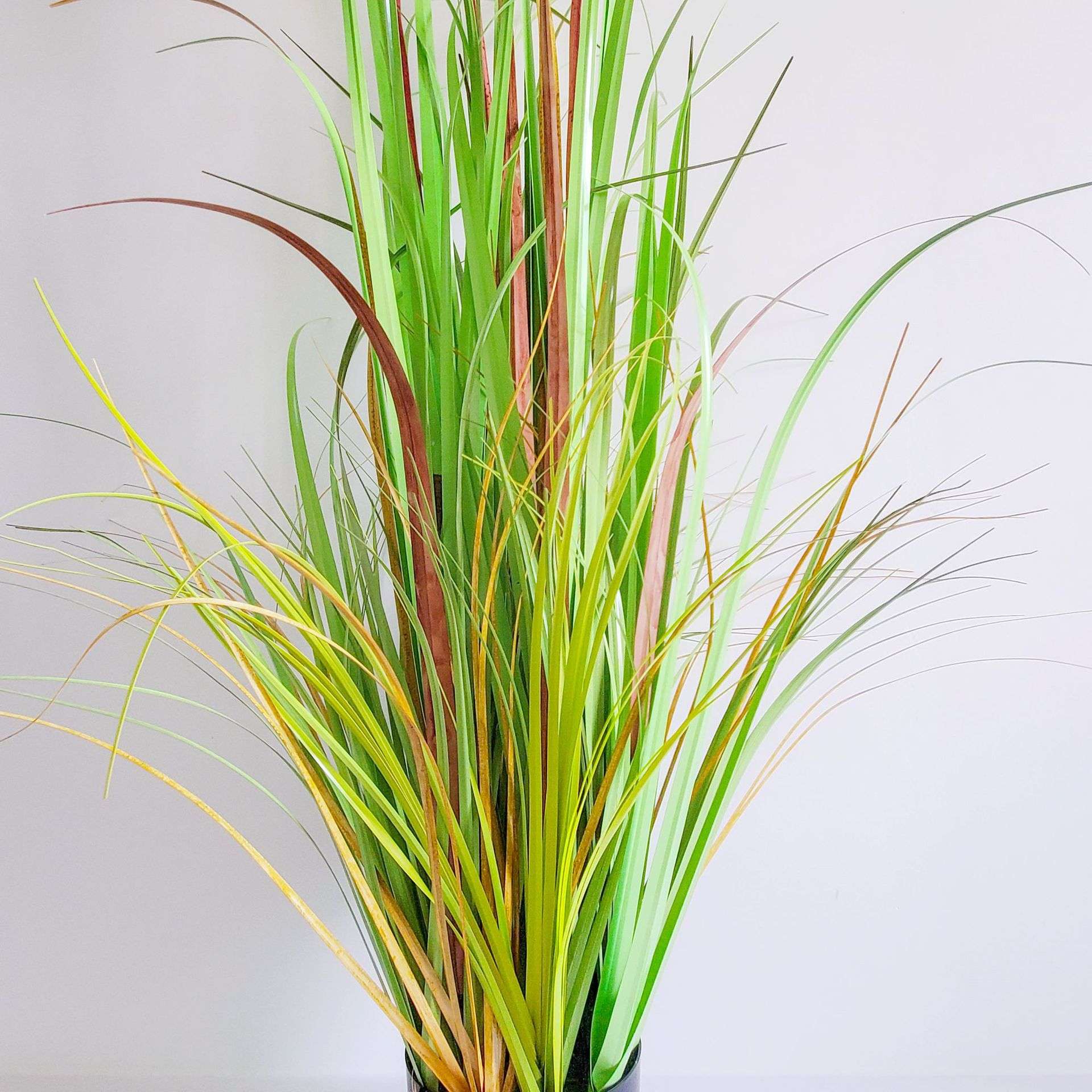 叶假洋葱草盆栽摆件客厅绿植芦苇草仿真植物大盆景仿真绿植摆件
