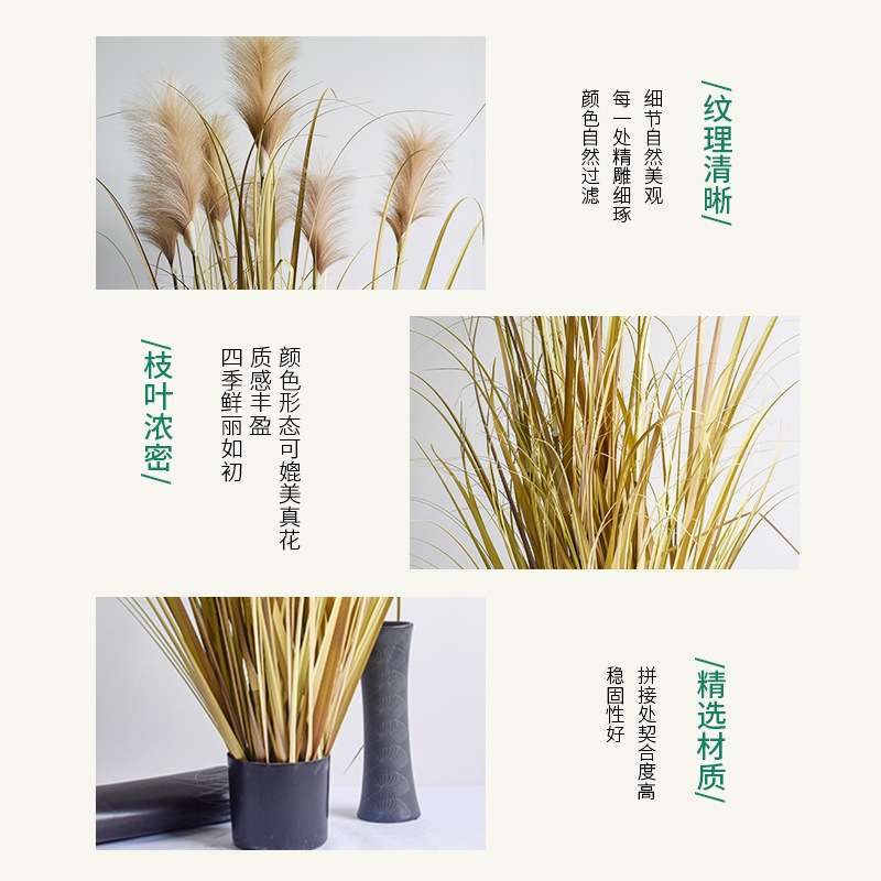 仿真洋葱草盆栽园林绿化盆景家居装饰大型芦苇草蒲苇草盆栽绿植