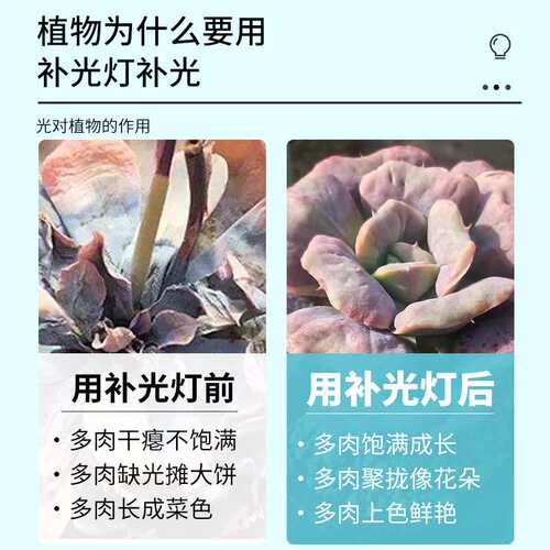 LED植物生长灯全光谱育苗灯多肉蔬菜大棚吊装UFO飞碟补光灯专用