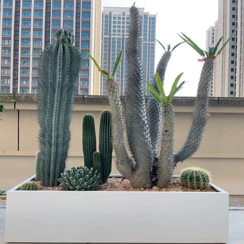 阳台种植箱户外不锈钢花箱商业广场咖啡店隔断花架露台花槽花坛