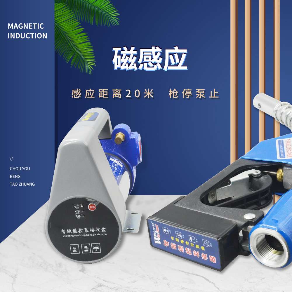 磁感应抽油油泵12v24v220v自吸抽油泵柴油泵电瓶太阳能油泵