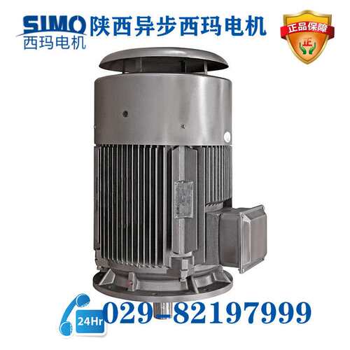 YGM2-315L1-2/160KW-B3-B35紧促型三相异步电机联保