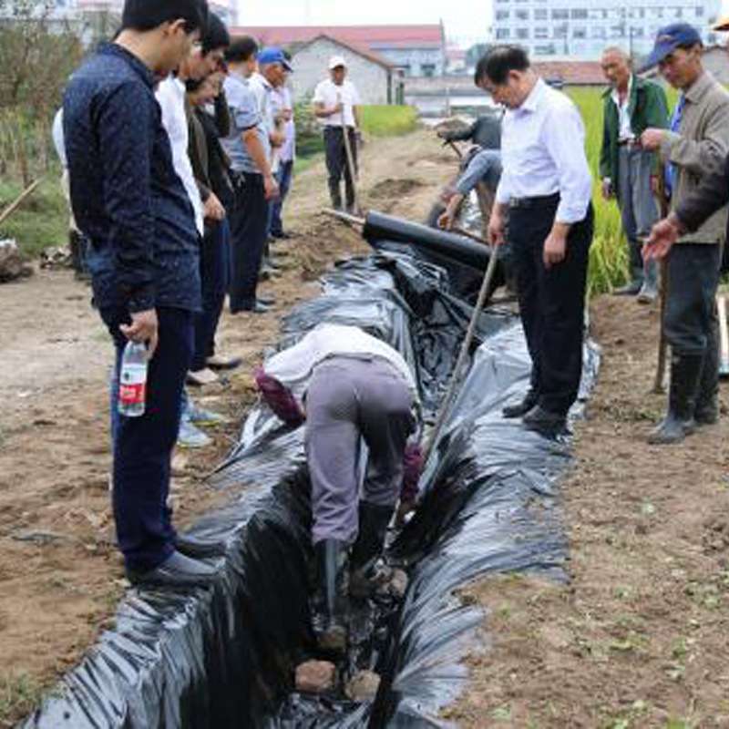 农用黑色地膜 除草膜 防虫加厚薄膜 果树果园蔬菜大棚薄膜 草莓膜
