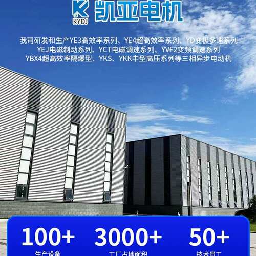YE3 YE4 YL YZ YBX3 YBX4 YVP YCT YEJ YVF2 多种型号加工电动机