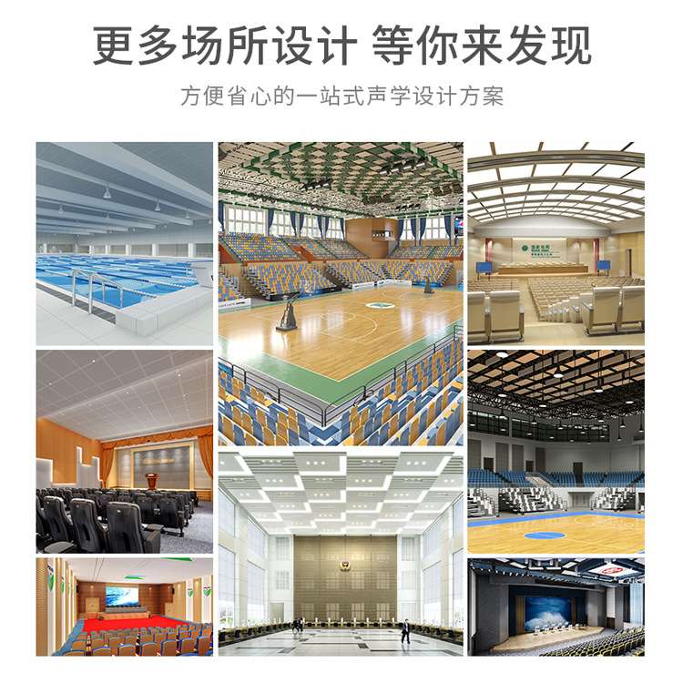 天戈 吸音板装修建筑声学设计方案 体育馆音乐厅会议室声学材料