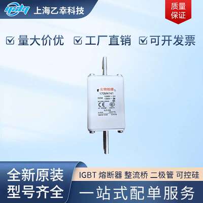 巴斯曼熔断器  170M4198 170M4202 170M4203 170M4204 170M4208