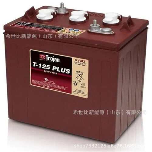 Trojan邱健蓄电池T605 T105 T105PLUS T125 T125PLUS T145富液式