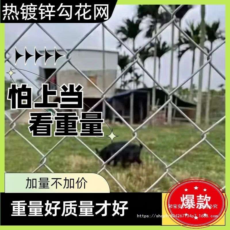 热镀锌铁丝网勾花网养鸡养殖牛羊钢丝网果园围栏网户外庭院防护网