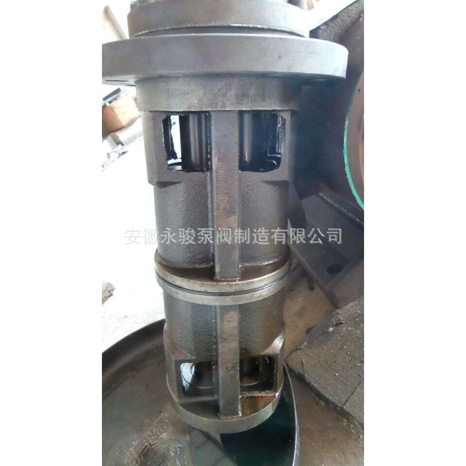 双螺杆泵配件 2G系列双螺杆泵 泵芯总成 安徽永骏