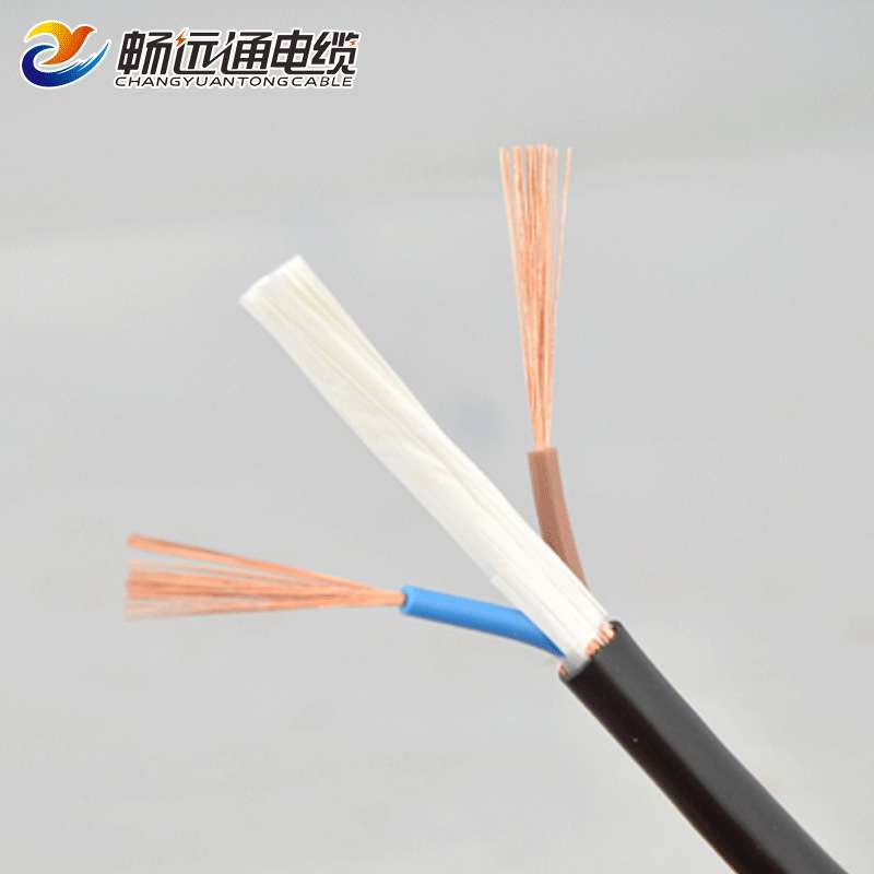 远通屏蔽线 RVVP2*0.75平方控制信号线 国标监控线计算机电缆