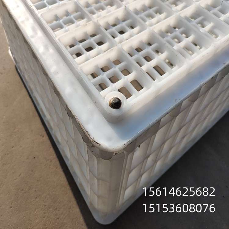 方形运鸡筐 装鸭筐 塑料运输鸡笼 拉鸡笼子