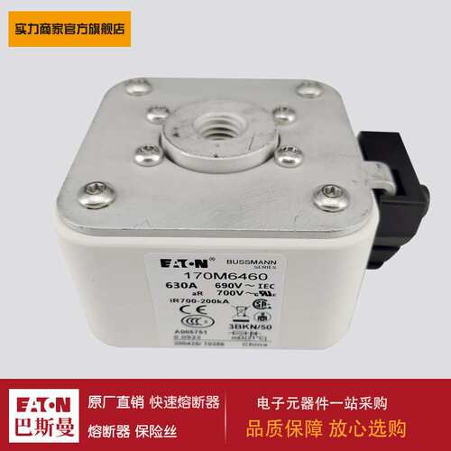 熔断器170M5468 170M6458 170M6459 170M6460 170M6461 170M6462