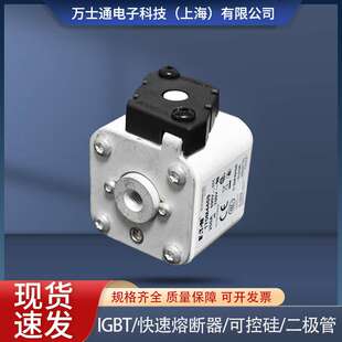170M4458 170M4459 170M4460 170M4461 170M4462 170M4463熔断器