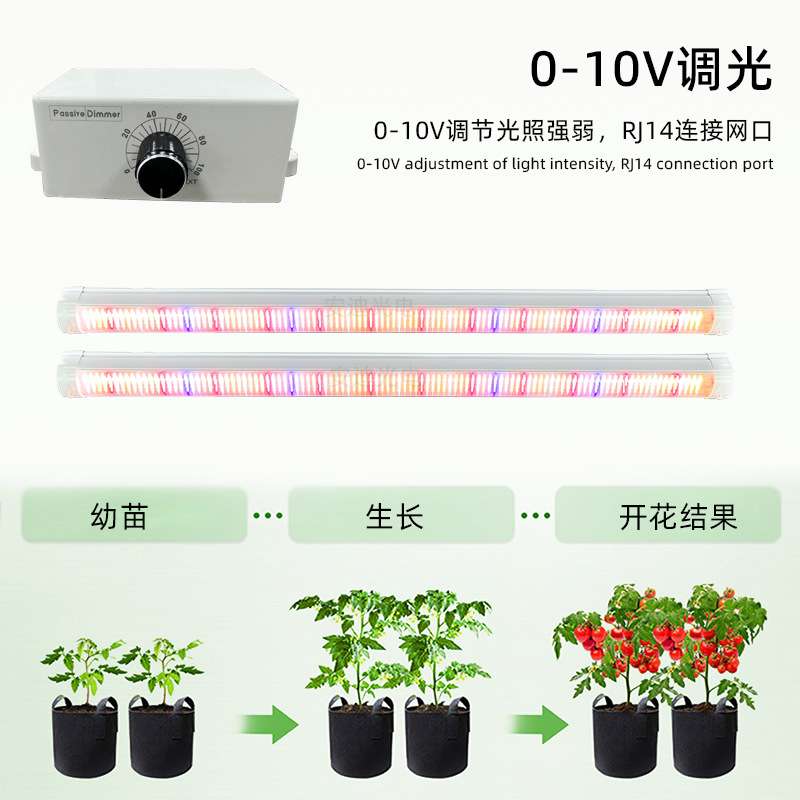 龙舌兰盆栽花卉植物补光灯管地上树冠红光660水培增产种植生长灯