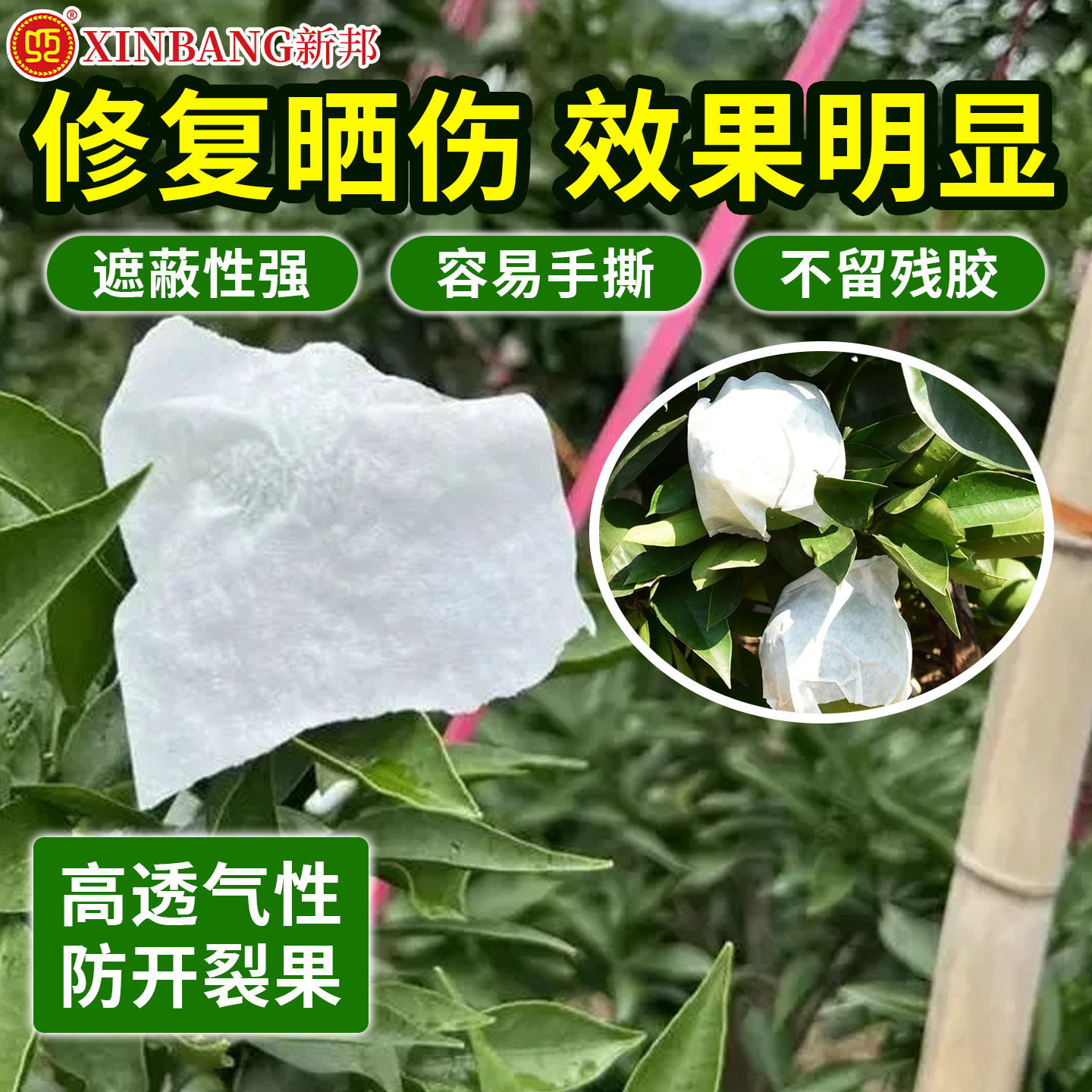 柑橘防晒贴纸脐橙防太阳果专用贴