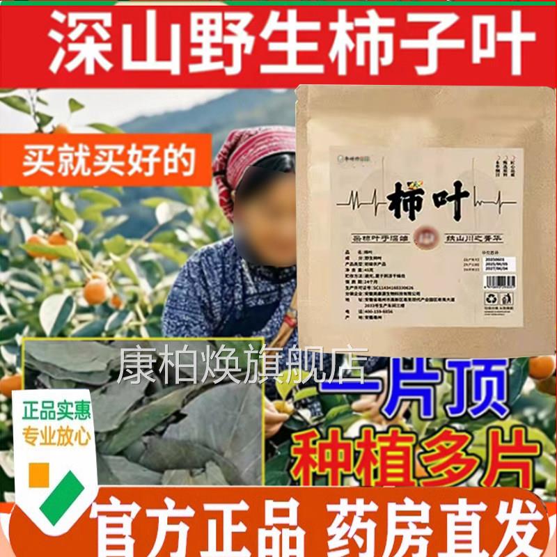 野生柿子叶正直播同款鲜摘柿叶晒干用官方旗舰店品药房直售7mn康