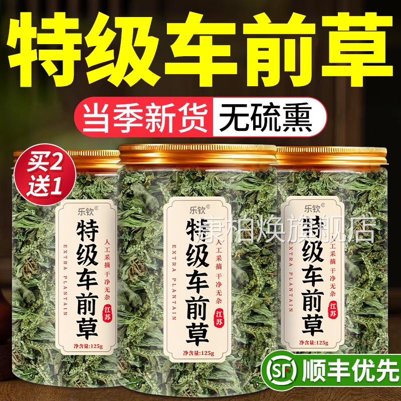 车前草野生新鲜干货官方旗舰店药材正品泡茶水喝的功效与作用x中l