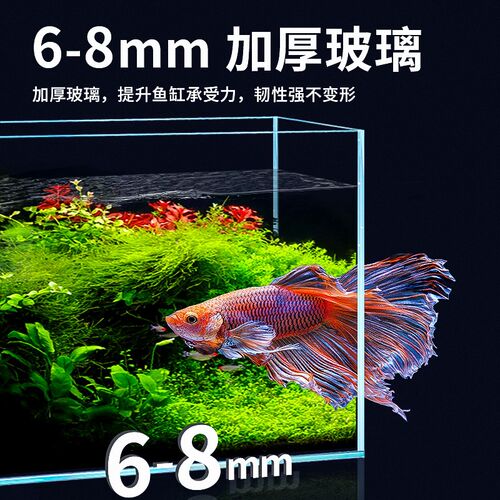 金晶五线超白玻璃鱼缸家用客厅大型溪鱼流缸裸缸小型生态新款龟缸
