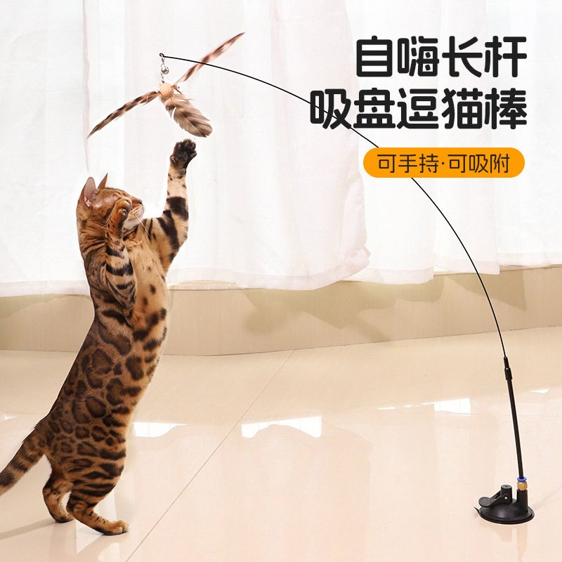 强力吸盘加长钢丝逗猫棒自嗨图片
