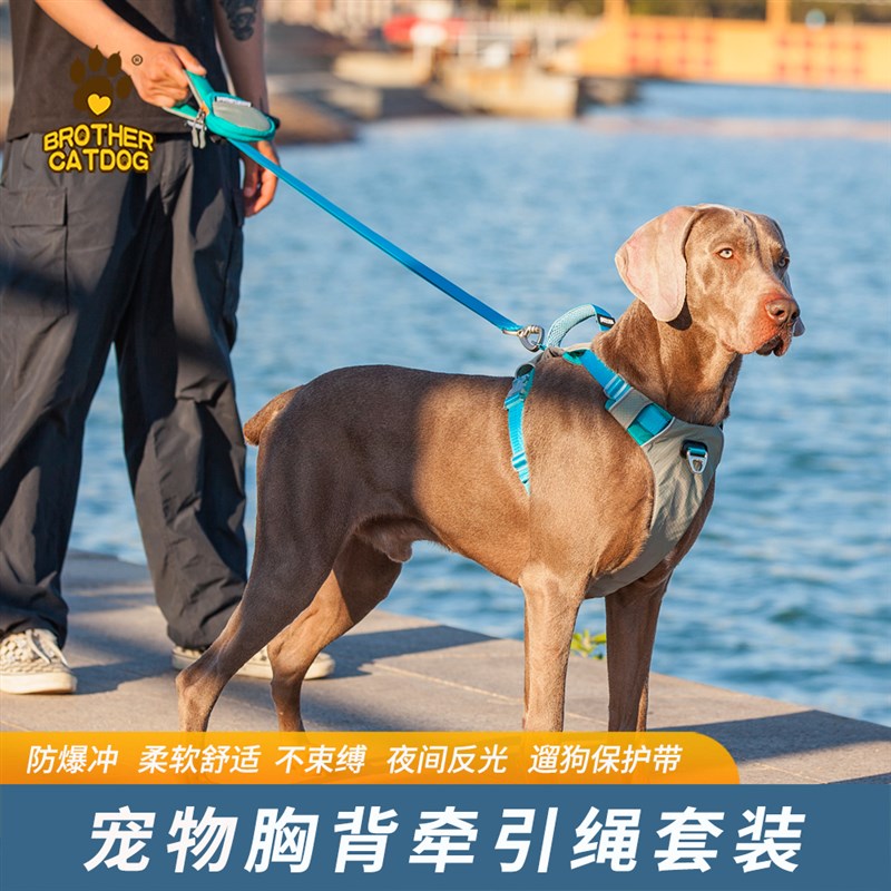 狗狗牵引绳小型中大型犬狗链子狗绳宠物胸背带套装宠物用品遛狗