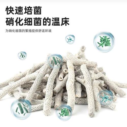 精品大号优质珊瑚骨鱼缸滤材优质珊瑚砂珊瑚石碎装饰造景精纯天然