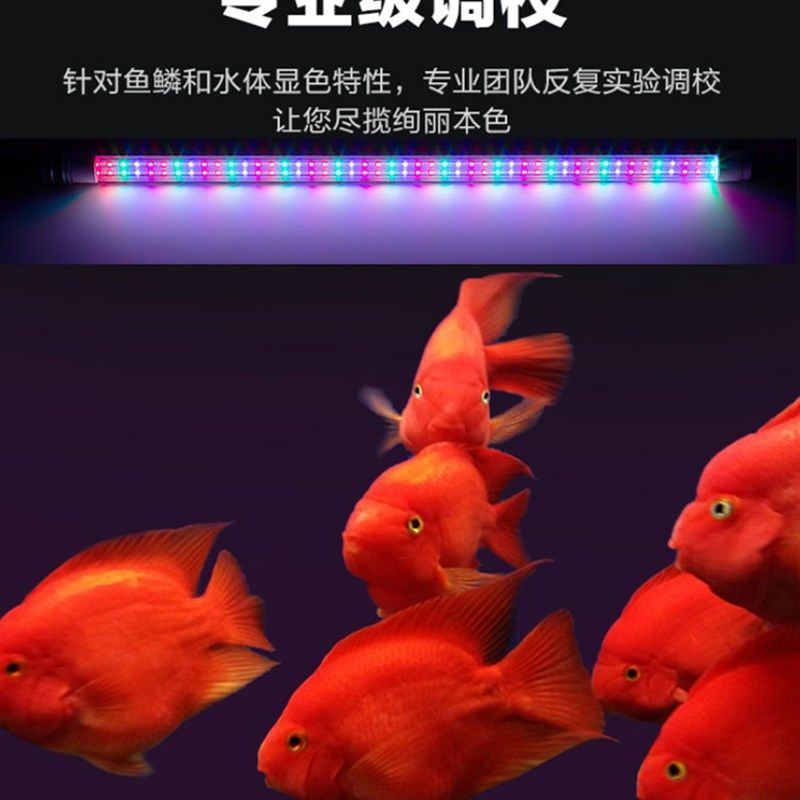 LED防水灯管双排灯珠三色节能鱼缸灯造景水族箱水草龙鱼照明大型