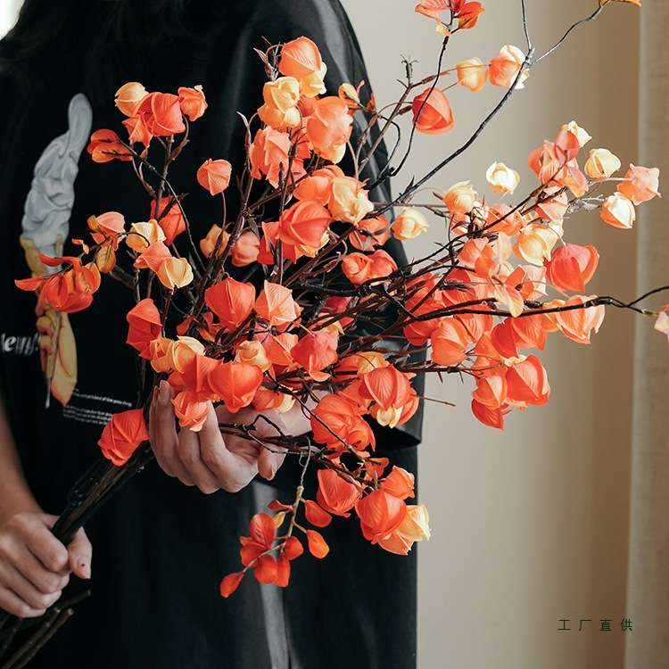 栾树果仿真花灯笼果摆件客厅假花摆设新年装饰年宵花酸浆果树枝花