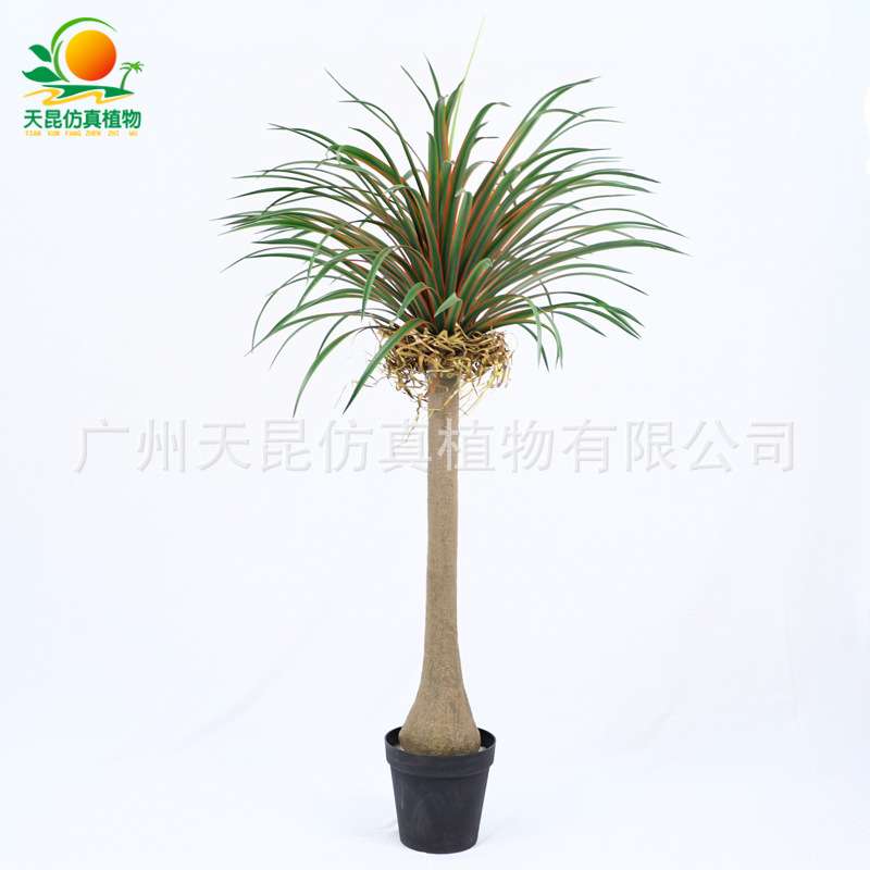 仿真龙血树家居橱窗装饰盆景假植物 假龙血树丝兰树铁树盆栽绿植