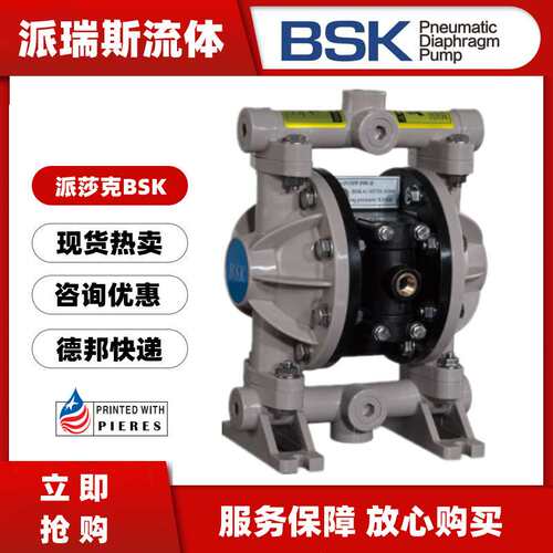 BSK气动隔膜泵BP06PP-P991-B BP15PP-PTT4-B PBB1耐腐蚀污水处理