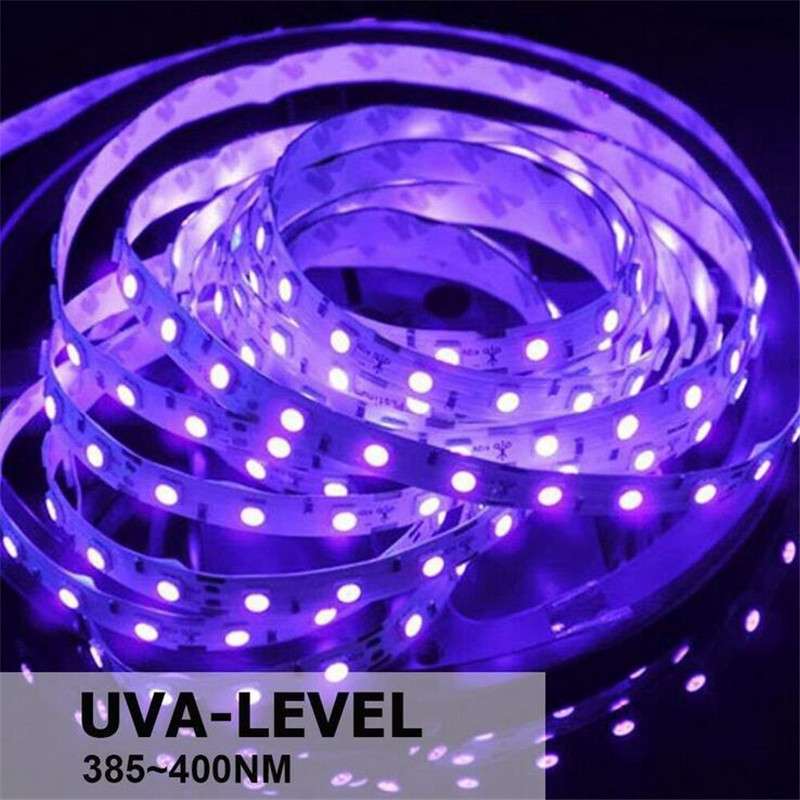 LED12V套装灯带2835UV紫光灯带 波长395-405滴胶防水带电源加开关