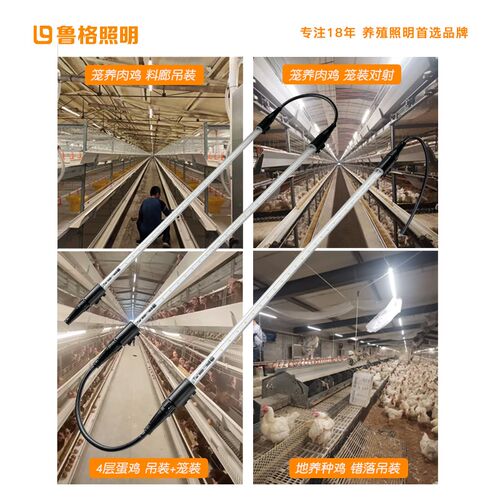 鲁格48V防水LED灯管渐亮渐灭可定时调光鸡鸭舍鹌鹑鹦鹉养殖场灯管
