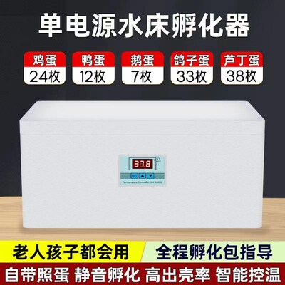 孵化器小型家用水床孵化箱泡沫孵化受精鸡鸭鹅鸽子芦丁鸡蛋孵蛋器