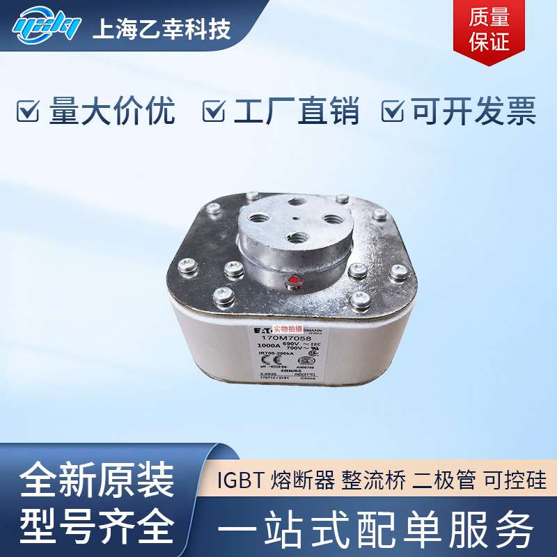 巴斯曼熔断器 170M7500 170M7507 170M7510 170M7511 170M7512