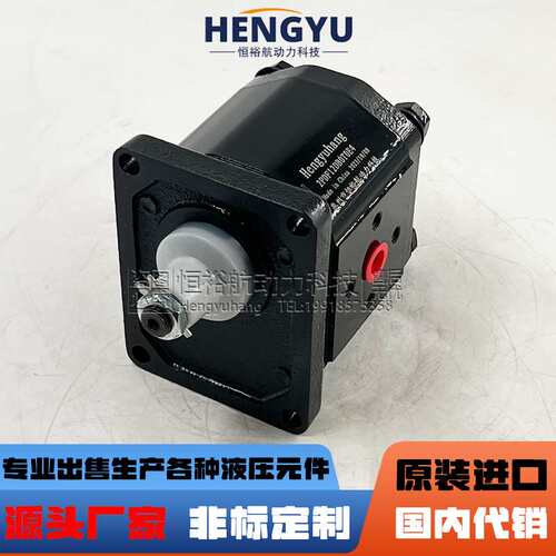 Hengyuhang齿轮泵2PDF12DB0T0E4布赫泵BUCHER液压泵AP200油泵高压