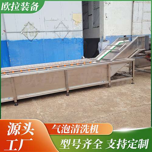多功能清洗机 西蓝花果蔬气泡清洗机 红薯辣椒清洗加工成套设备
