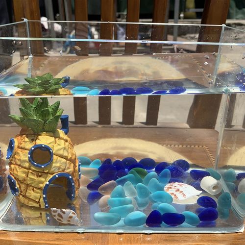 热弯玻璃鱼缸客厅中小型裸缸长方形龟缸创意桌面水族箱造景金鱼缸