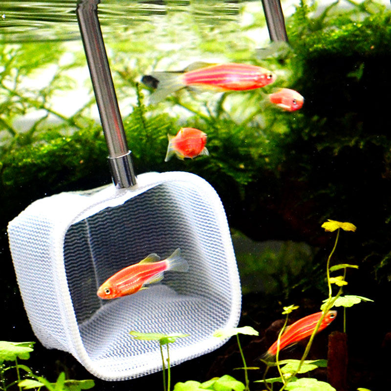 伸缩3D鱼捞虾捞水晶虾网小鱼苗网捞小鱼缸水族箱伸缩虾捞迷你圆捞