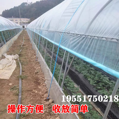 草莓大棚防鸟网葡萄天沟通风口防鸟用的网西瓜棚口防鸟樱桃棚防鸟