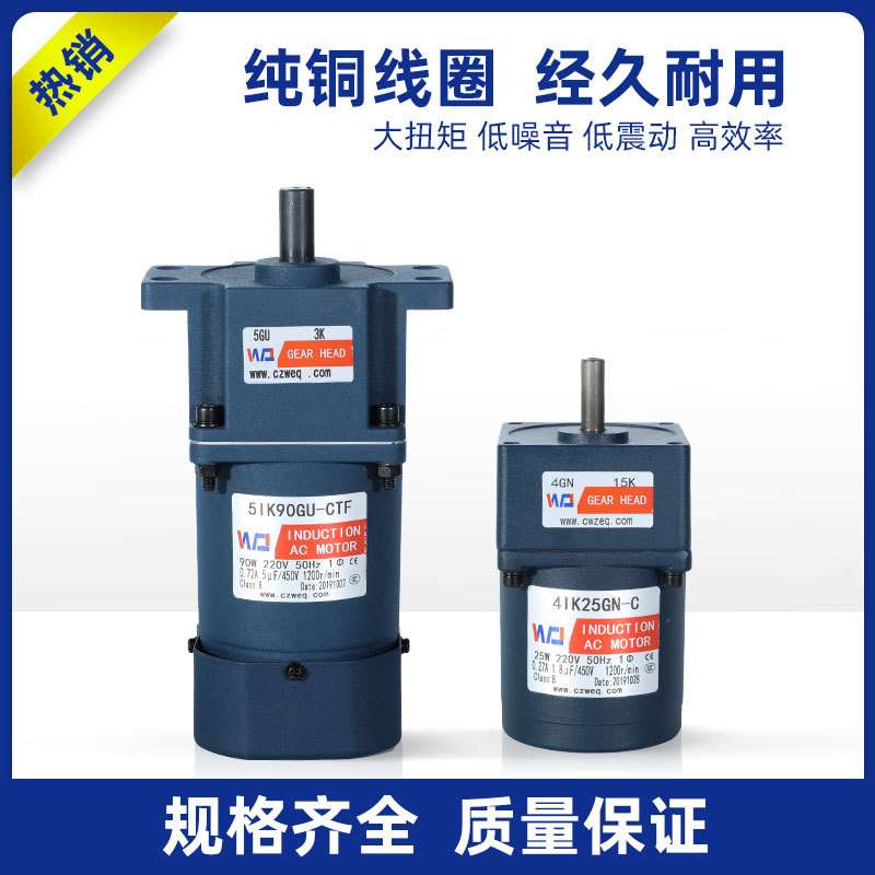 威尔强定速电机220v齿轮定速马达6-300W厂家销售微型交流齿轮电机