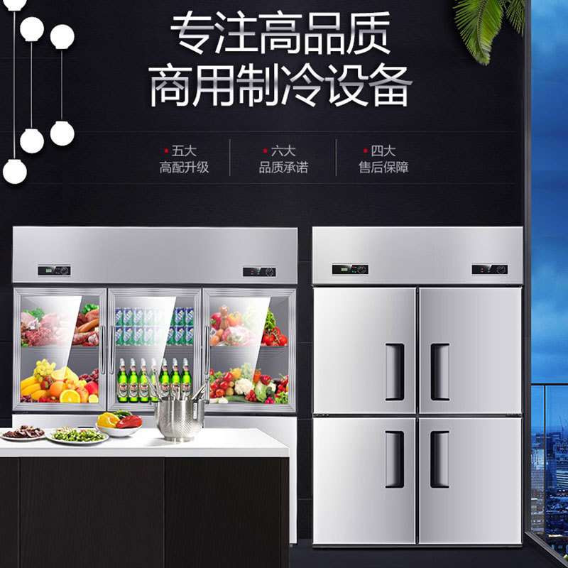 四门冰柜冷藏冷冻双温冷柜保鲜立式六门大容量厨房冰箱商用