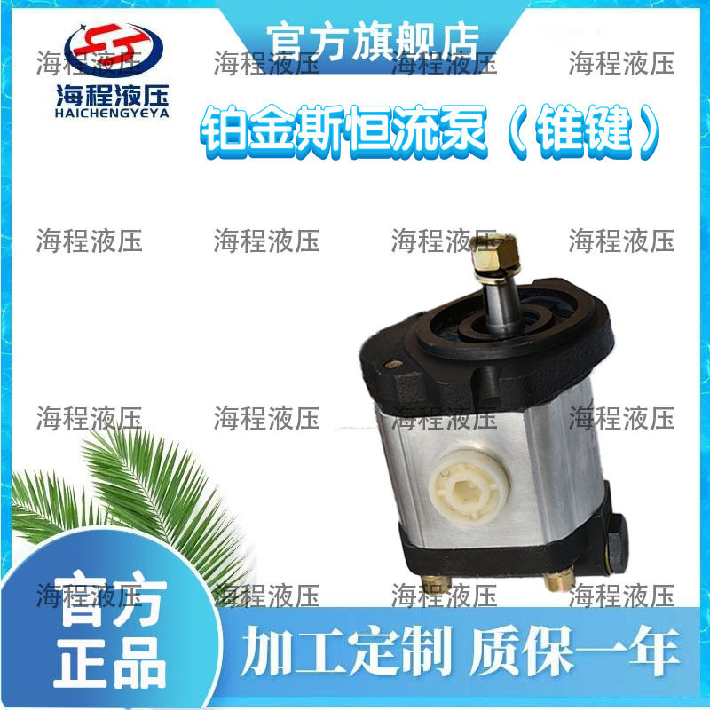 厂家直销铂金斯恒流泵(锥键)