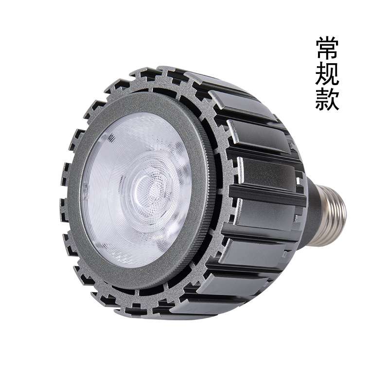 led par灯 par30光源 15W- 30W par30 e27 服装店射灯餐厅展厅