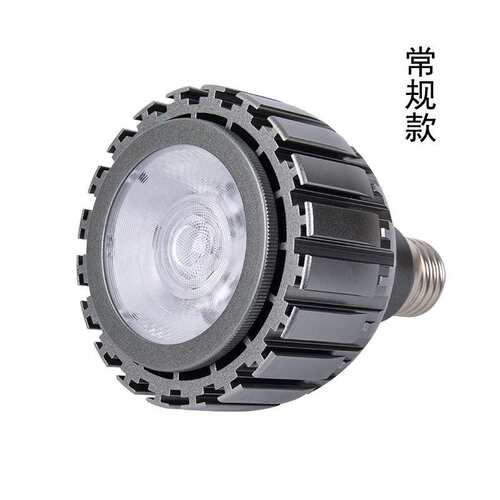 led par灯 par30光源 15W- 30W par30 e27 服装店射灯餐厅展厅