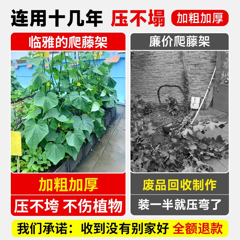 黄瓜爬藤架子豆角架杆种菜蔬菜搭棚子支架花架植物支撑杆包塑钢管图片