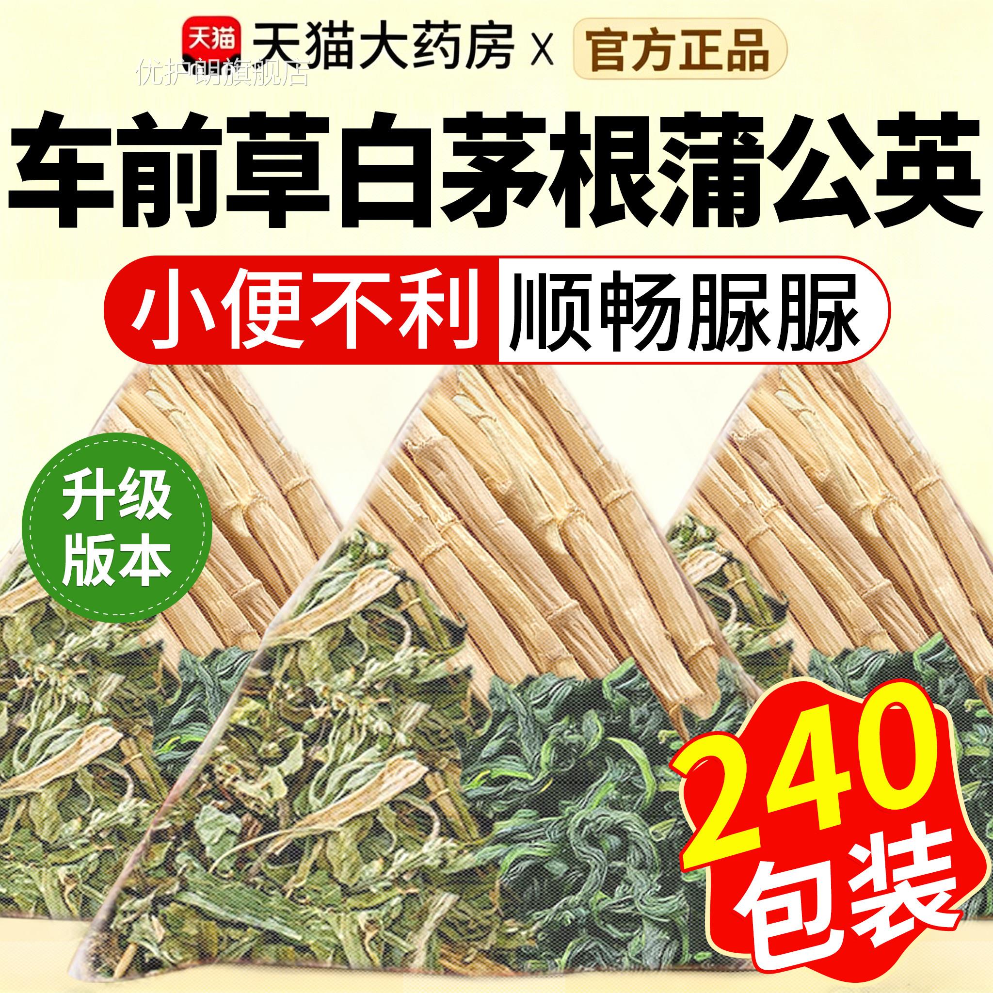 车前草用白茅根蒲公英组合装的功效与作中药材茶包分别独立包装xl