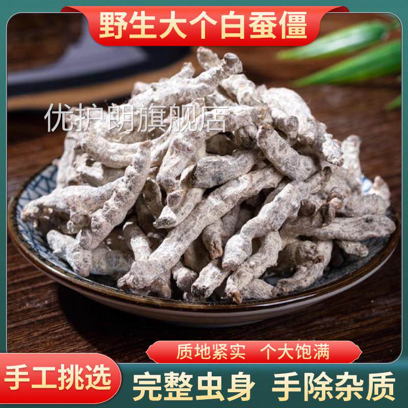 白僵蚕中药材正品四川新货僵蚕白蚕粉白僵僵虫天虫姜蚕姜虫七子白
