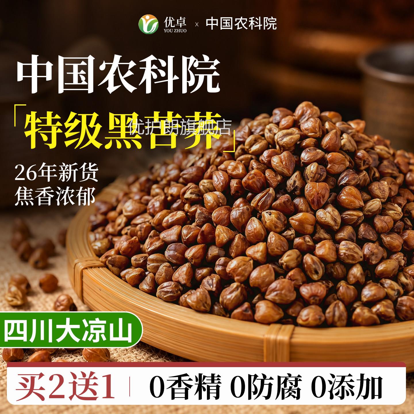 苦荞茶四川大凉山特产级养生饭店专用黑苦荞米茶正舰品官方旗店优